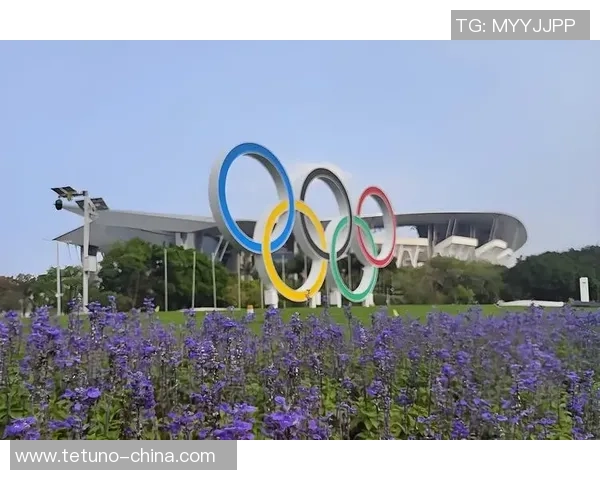 杭州网球队耐力训练引发热议球员表现与体能备战成焦点